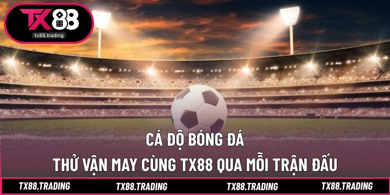 Cá độ bóng đá