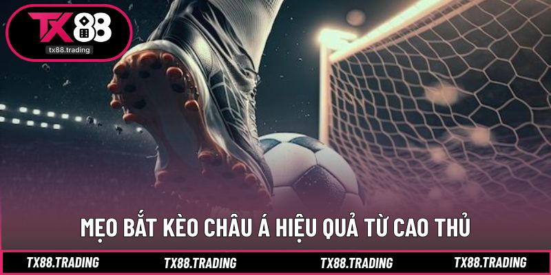 Chiến lược giúp nâng cao độ chính xác khi lựa chọn