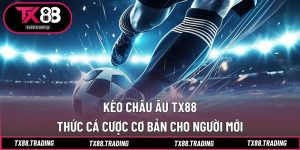 Kèo châu Âu