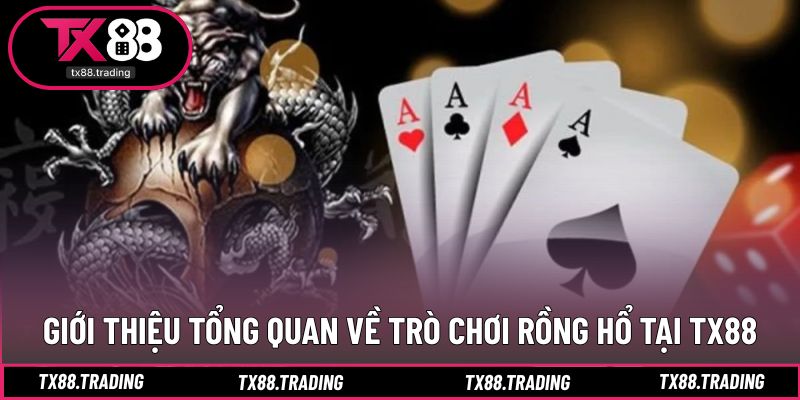 Khái quát cách vận hành trò chơi đối kháng nhanh gọn