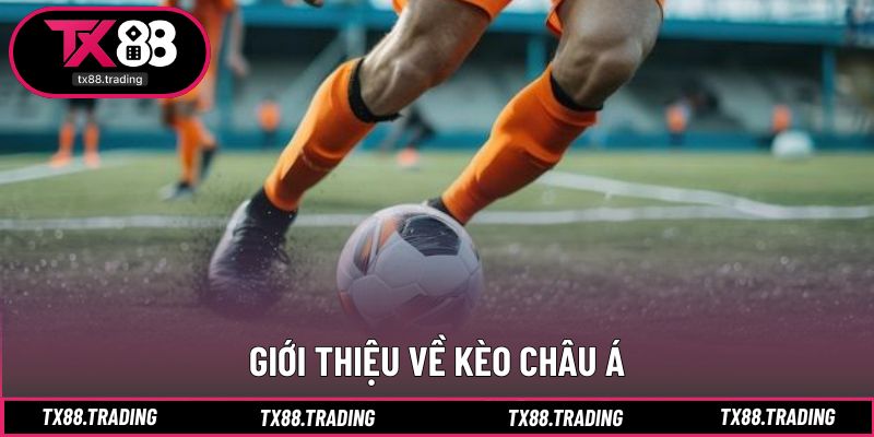 Khái quát hình thức kèo châu Á mang tính cân bằng cao