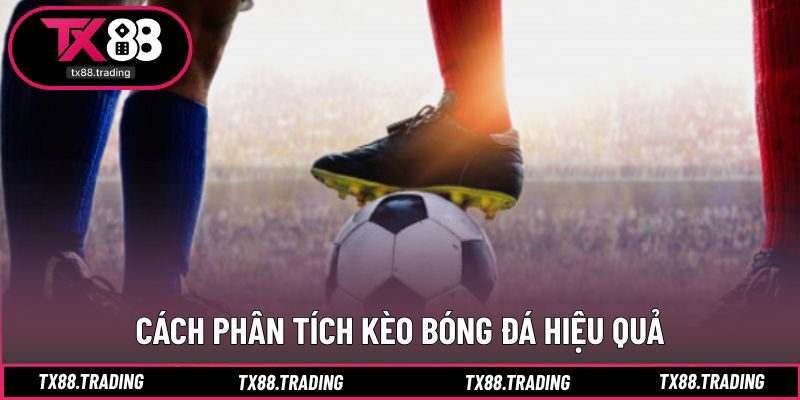 Phương pháp phân tích kèo từ kinh nghiệm thực tế